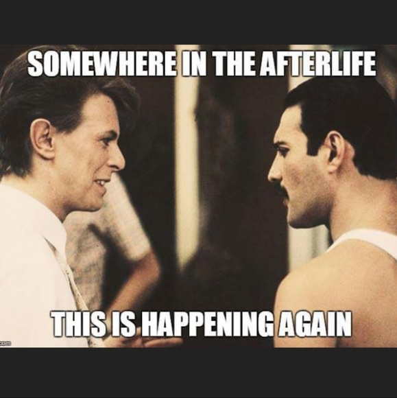 Bookmark my closet! - Picture 6 of 13